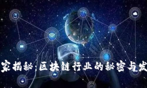 专家独家揭秘：区块链行业的秘密与发展秘诀