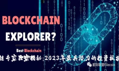 区块链专家独家揭秘：2023年最具潜力的投资板块秘诀