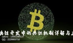 区块链开发中的共识机制详解与应用