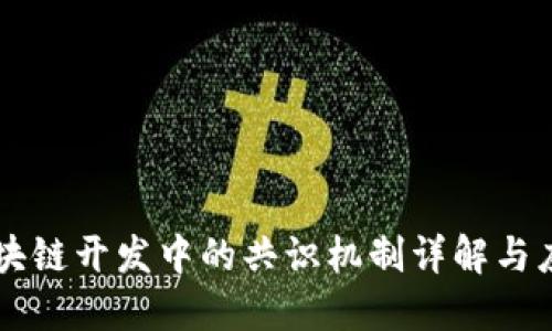 区块链开发中的共识机制详解与应用