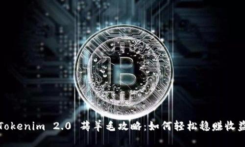 Tokenim 2.0 薅羊毛攻略：如何轻松稳赚收益