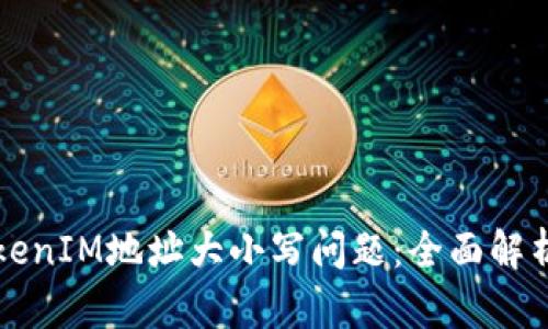 如何处理TokenIM地址大小写问题：全面解析与操作指南
