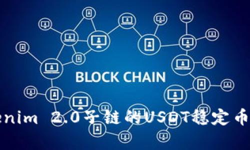 深入解析Tokenim 2.0子链的USDT稳定币应用及其前景