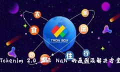 Tokenim 2.0 显示 NaN 的原因及解决方案