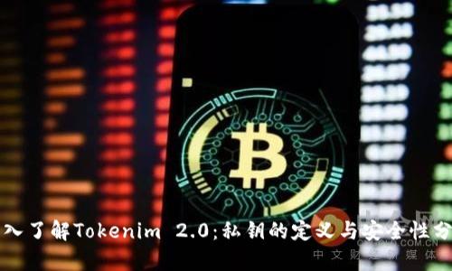 深入了解Tokenim 2.0：私钥的定义与安全性分析