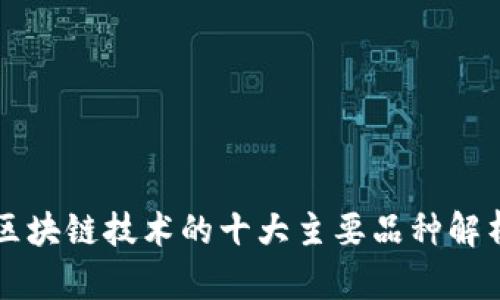区块链技术的十大主要品种解析