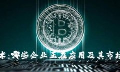 区块链技术：哪些企业正在应用及其市场潜力分