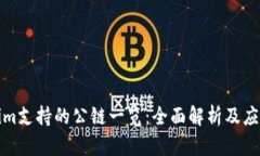 Tokenim支持的公链一览：全面解析及应用场景