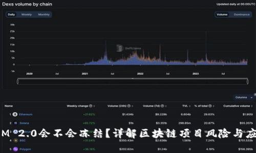 TokenIM 2.0会不会冻结？详解区块链项目风险与应对策略